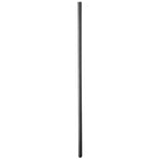 HELT SORT - 6 MM URETHRAL SONDE SILIKONE