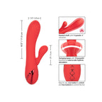 CALEXOTICS - PALISADES PASSIONSRØD