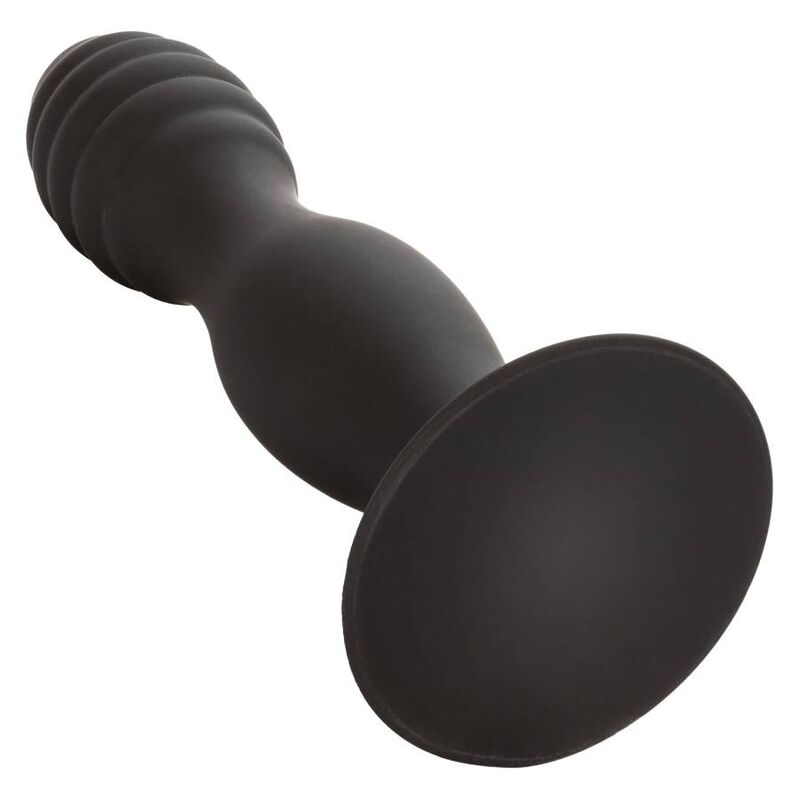 CALEXOTICS - RIBBET ANALSTUD