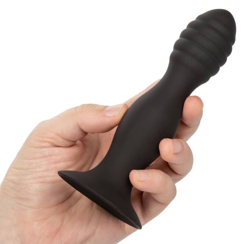 CALEXOTICS - RIBBET ANALSTUD