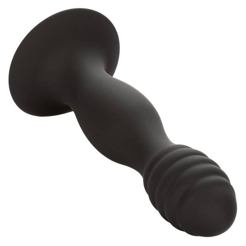CALEXOTICS - RIBBET ANALSTUD