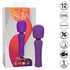 CALEXOTICS - STELLA MASSAGEAPPARAT VIOLET