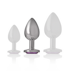INTENSE - ANALPLUG I ALUMINIUM MED VIOLET KRYSTAL STØRRELSE M