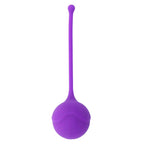 INTENSE - KISHA FIT ONE SILIKONE KEGEL LILA