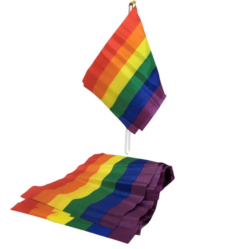 PRIDE - LGBT-FLAG LILLE FLAGBANER