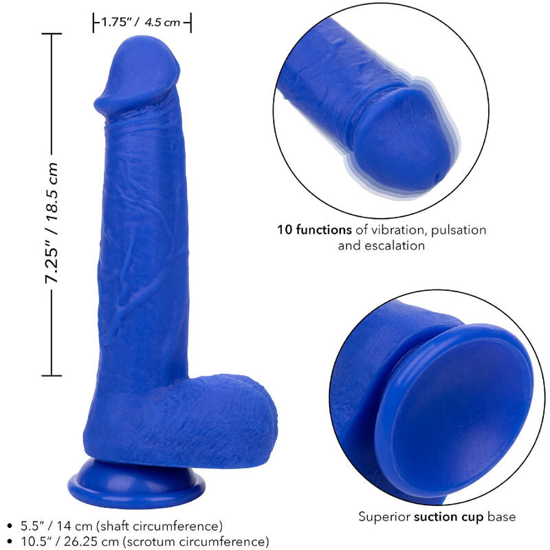 CALEXOTICS - ADMIRAL CAPTAIN REALISTISK DILDO VIBRATOR BLÅ