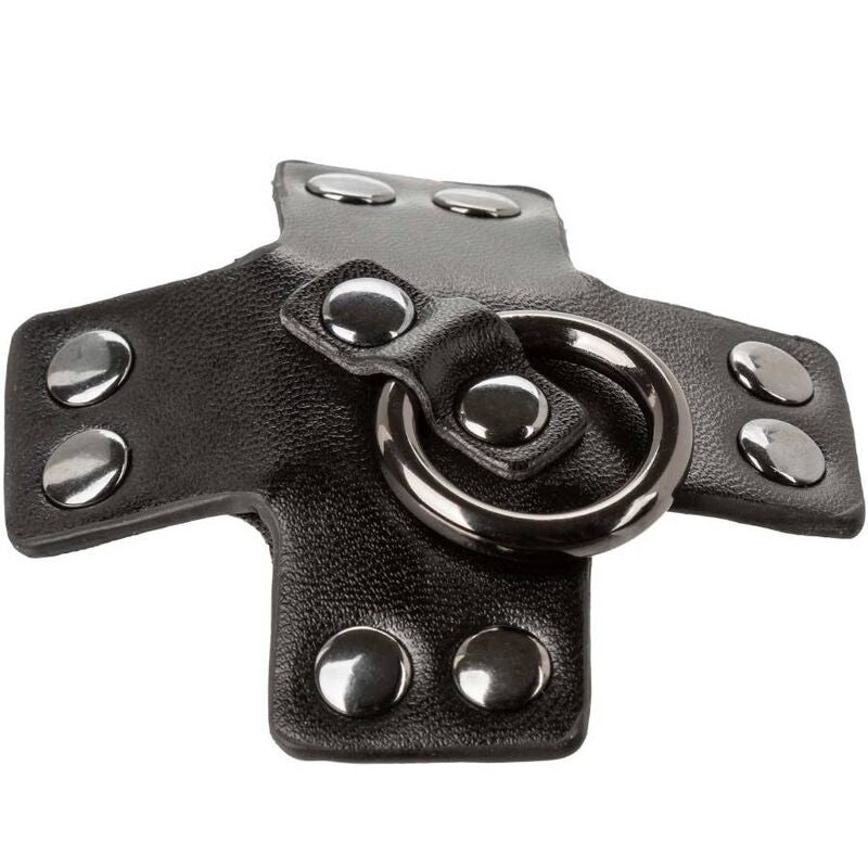 CALEXOTICS - EUPHORIA O-RING SORT
