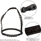 CALEXOTICS - EUPHORIA HALTER SPÆNNE SELE SORT