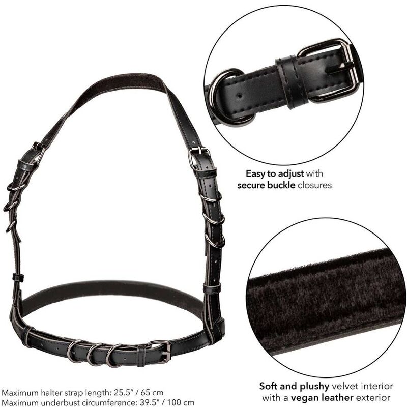 CALEXOTICS - EUPHORIA HALTER SPÆNNE SELE SORT