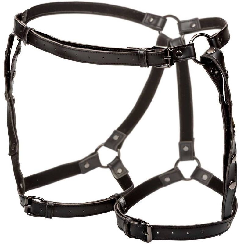 CALEXOTICS - EUPHORIA PLUS SIZE RIDELÅRSELE