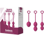 ARMONY - ANABIOSE VAGINAL HÅNDTAG 3 NIVEAUER BURGUNDY