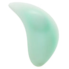 CALEXOTICS - PACIFICA BALI TEASER 10 FUNKTIONER AQUA