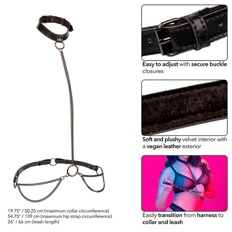 CALEXOTICS - EUPHORIA KÆDE GRIMME HALSBÅND & SNORE PLUS SIZE