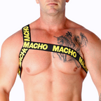 MACHO - ROMERSK SELE GUL S/M