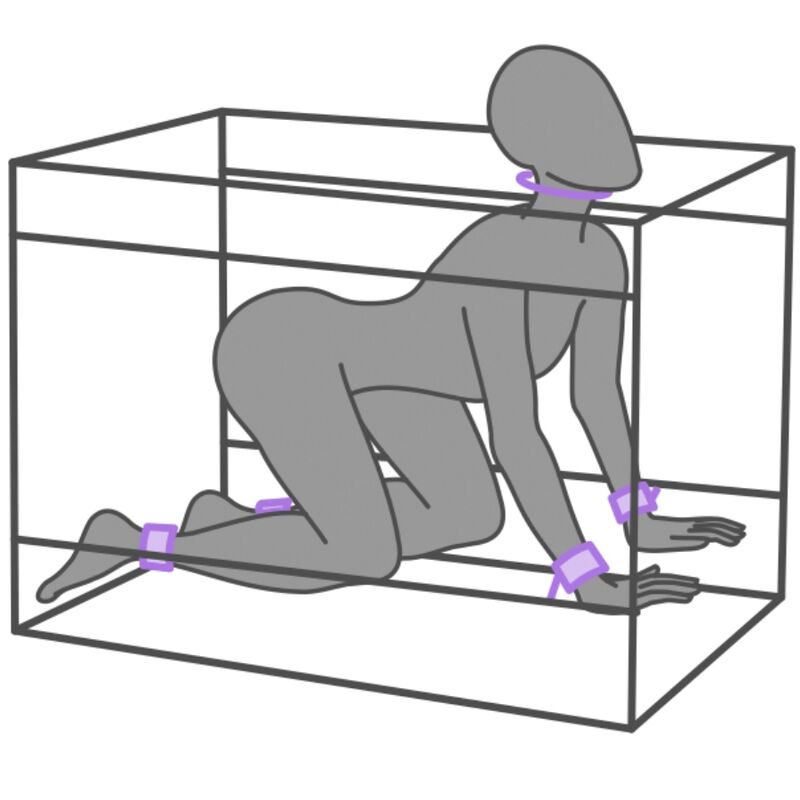 SECRET DOME - KINK CLUB LA NICHE CABINET LILLA