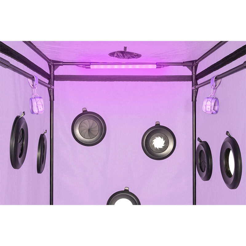 SECRET DOME - KINK CLUB CABIN SCANDALE LILLA