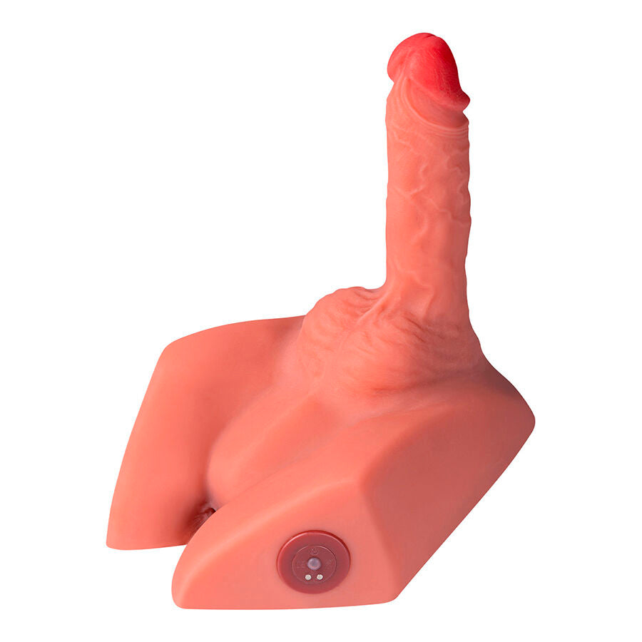 XISE - MICHAEL REALISTISK DILDO OG ANUSMASTURBATOR MED STØV 15 CM