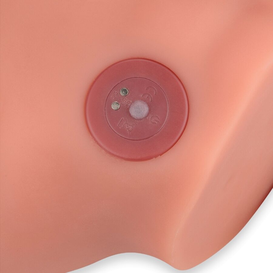 XISE - FREDERICO MASTURBADOR REALISTISK DILDO I FORRESTE POSITION MED STØV 15 CM