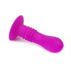 PRETTY LOVE - BOOTY PASSION VIBRATOR STIK 10V