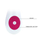 PRETTY LOVE - FLIRTS DANIEL VIBRATOR