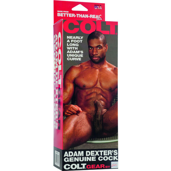 CALEXOTICS - COLT ADAM DEXTERS HANE