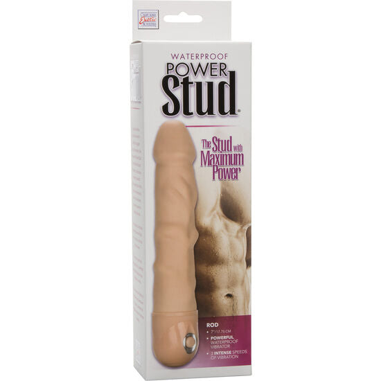 CALEXOTICS - POWER STUD STANG HUDSVIBRATOR